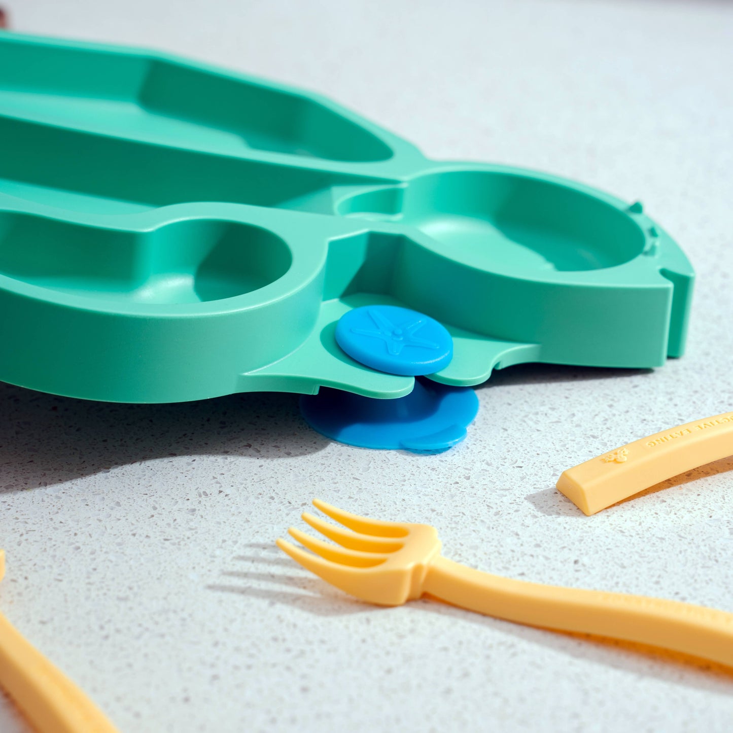 Turtle Suction Plate and Training Utensils