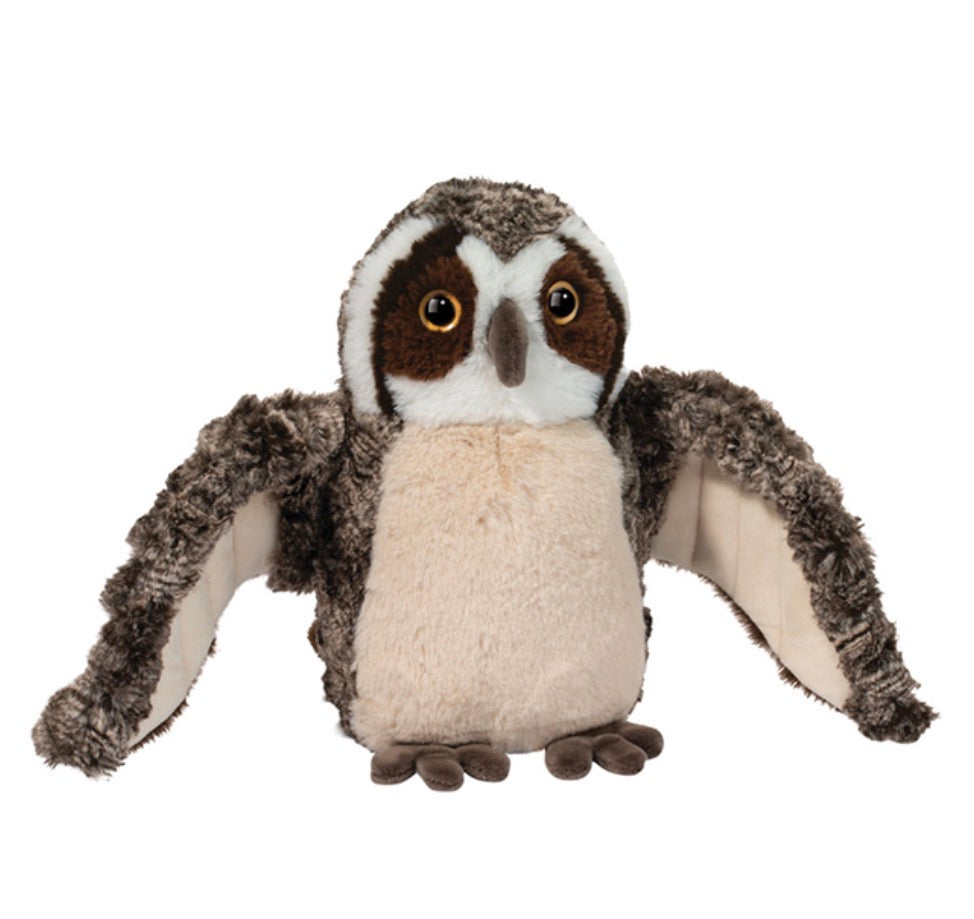 Echo Owl