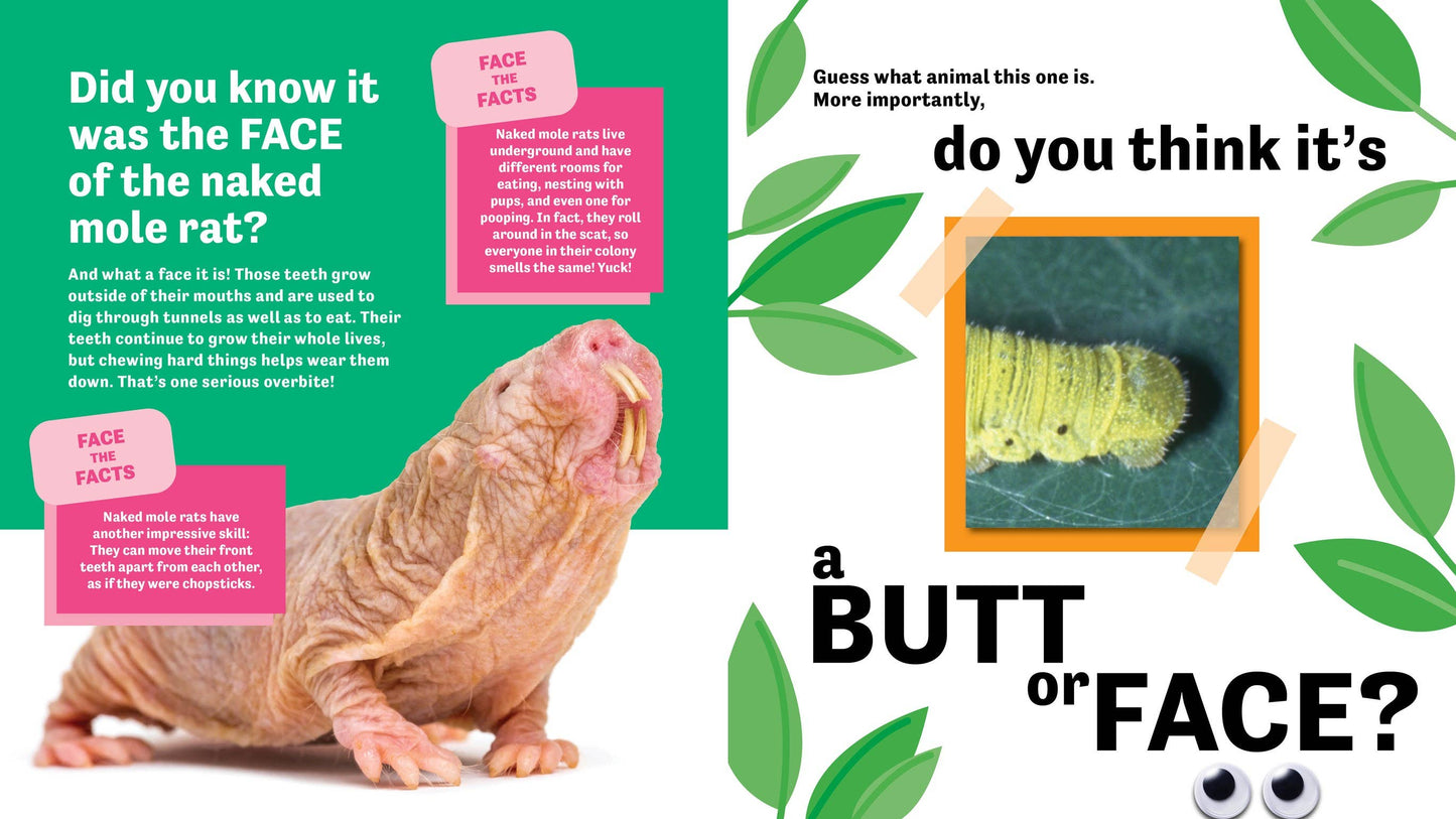 Butt or Face? Volume 3