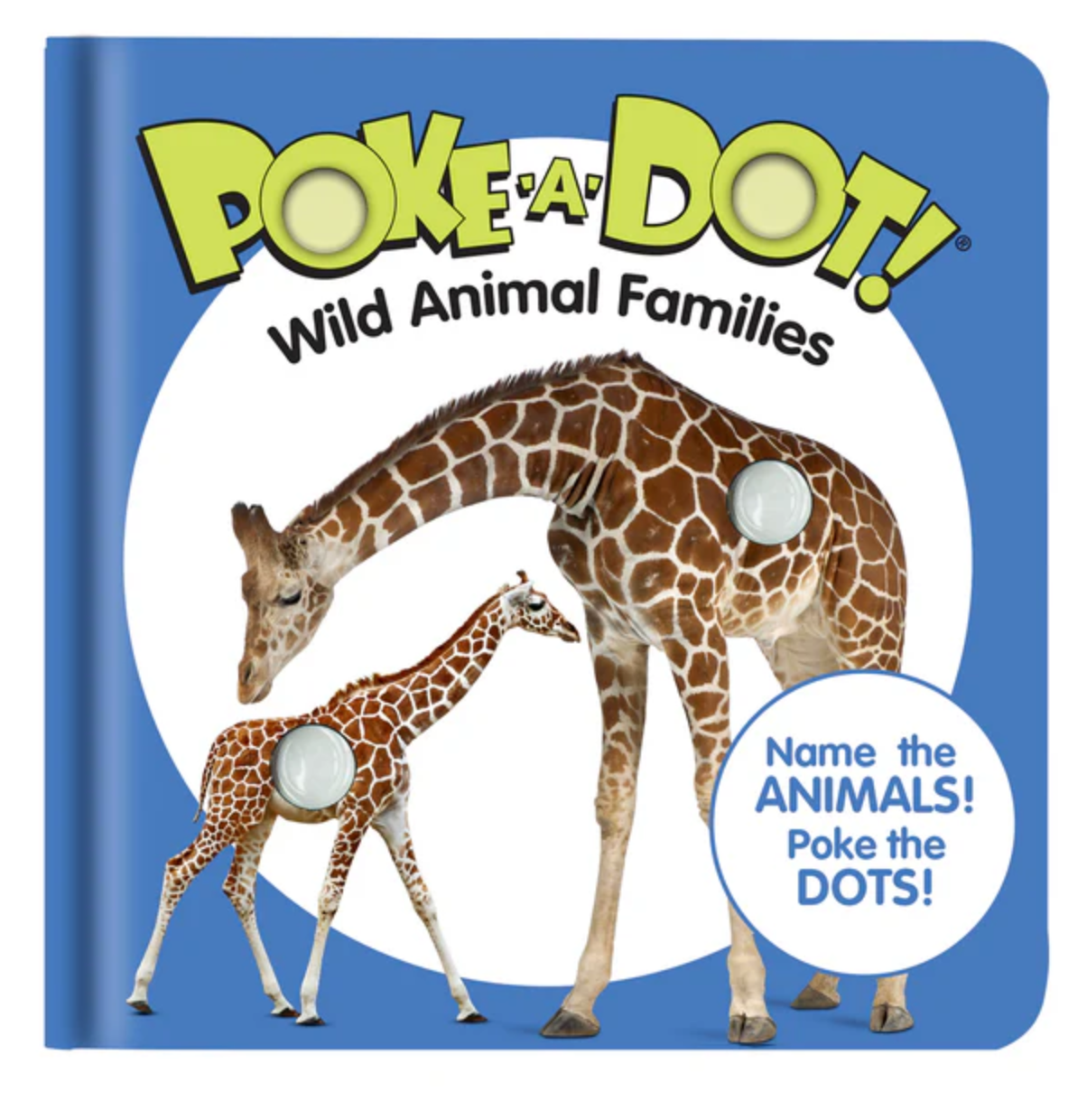 Small Poke-a-Dot: Wild Animal Families