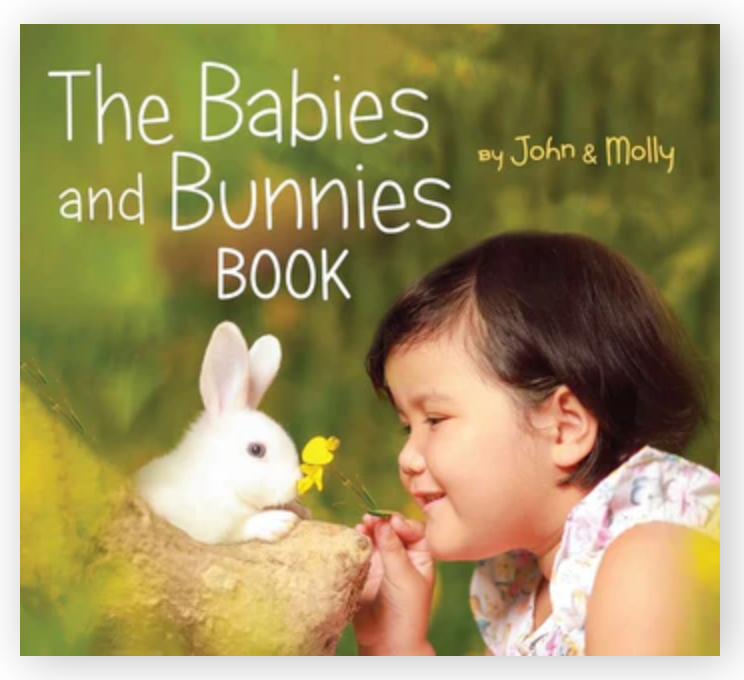 The Babies and Bunnies Book