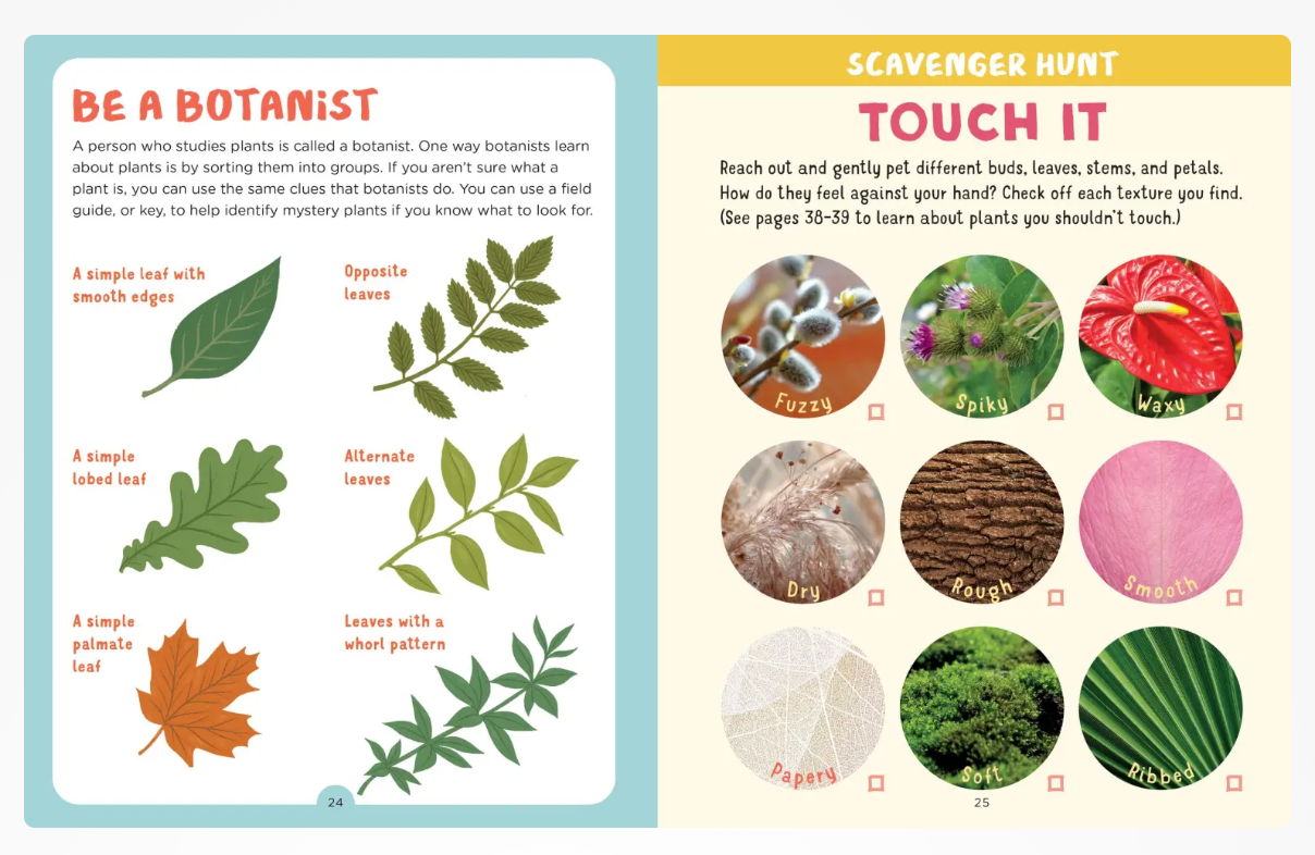 Backpack Explorer: Discovering Plants and Flowers