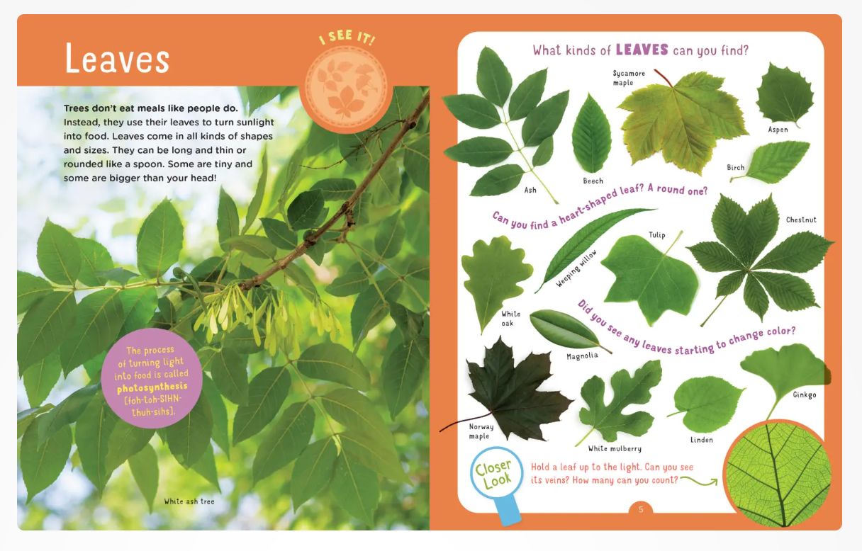Backpack Explorer: Discovering Trees