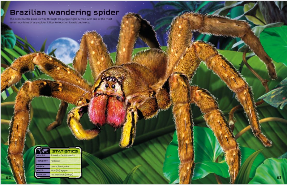 Build Your Own Deadly Animals Sticker Book