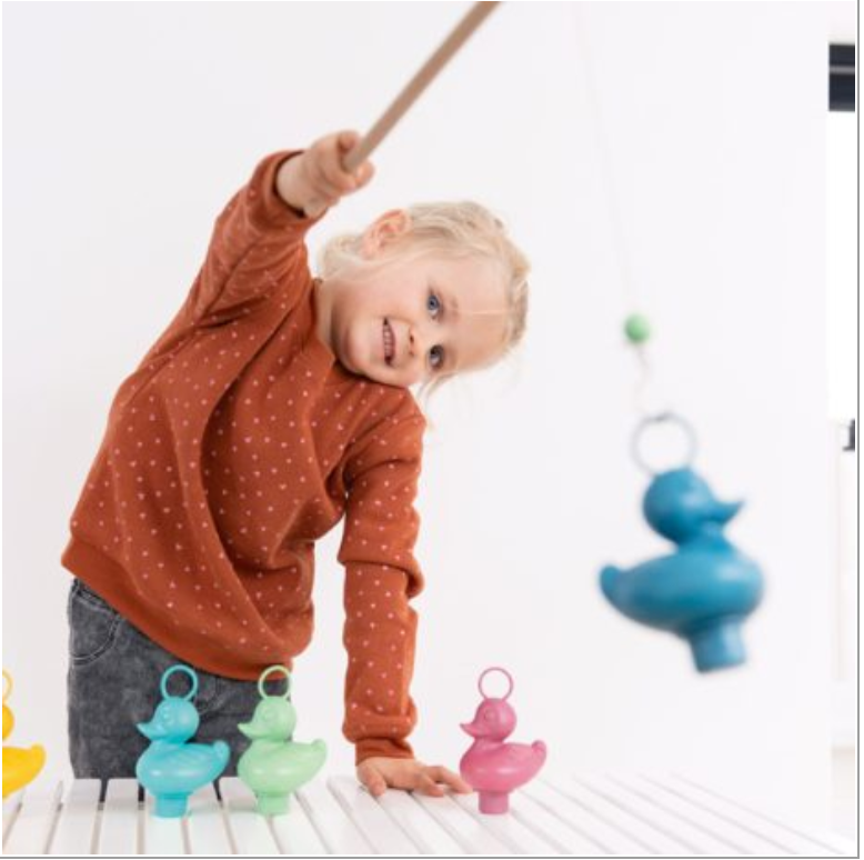 Fishing Ducks Set