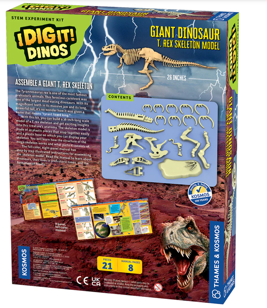Giant Dinosaur T Rex Skeleton Model