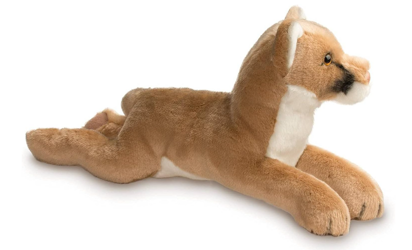Kelso Mountain Lion