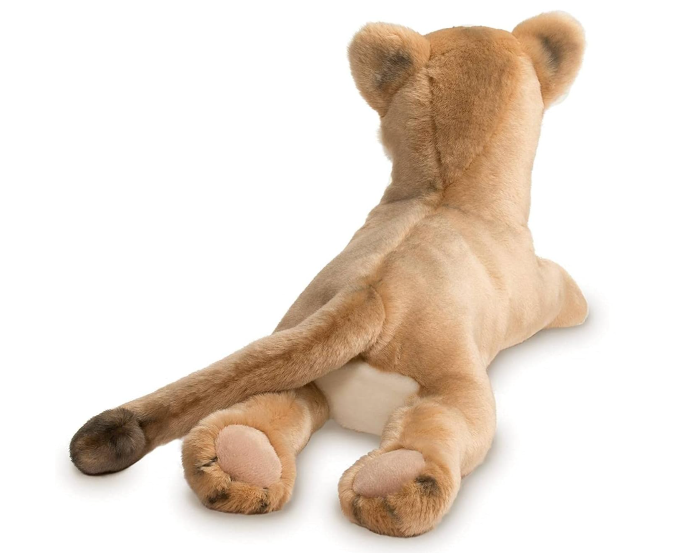 Kelso Mountain Lion