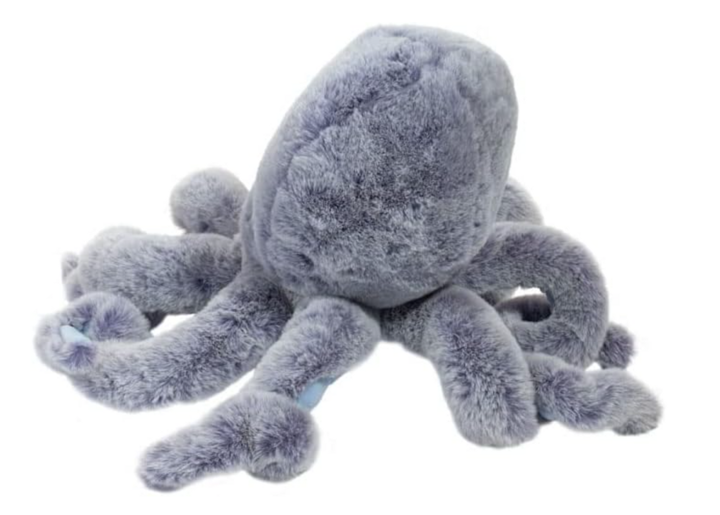 Jamie Octopus