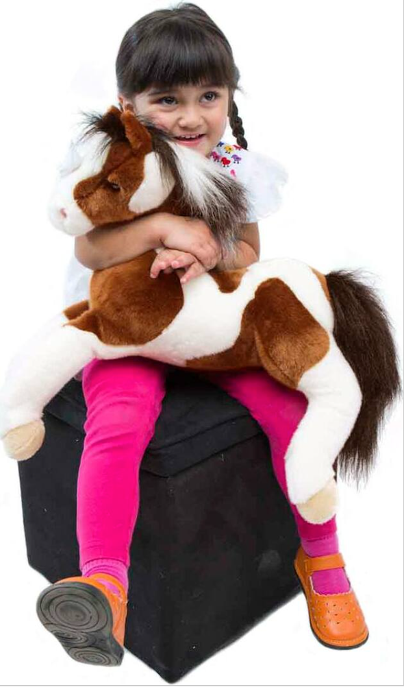 Natches Paint Horse