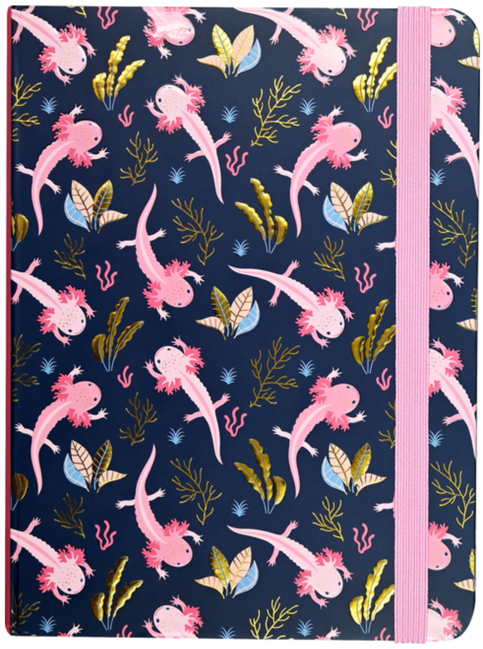 Axolotl Journal