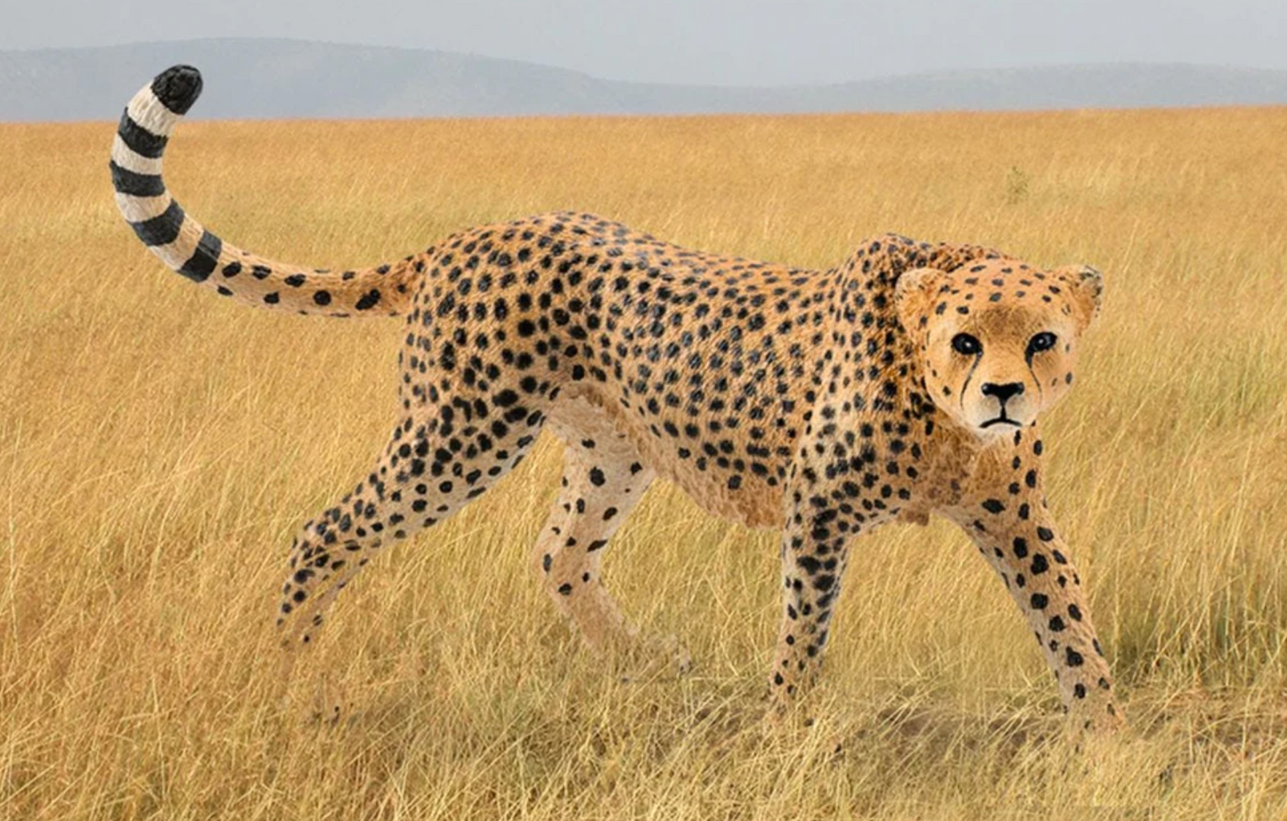 Schleich Animal - Cheetah
