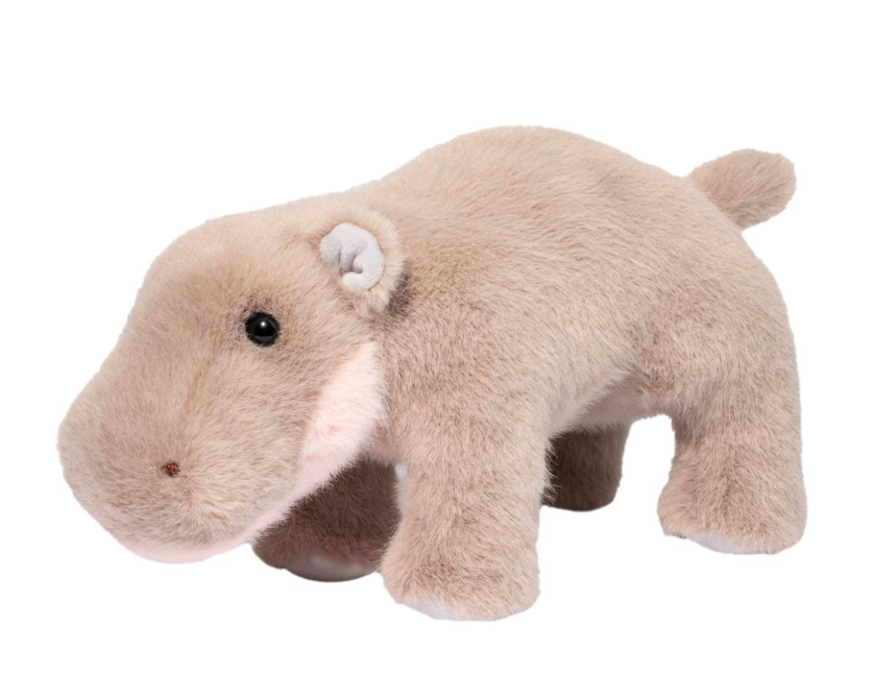 Nibbles Pygmy Hippo