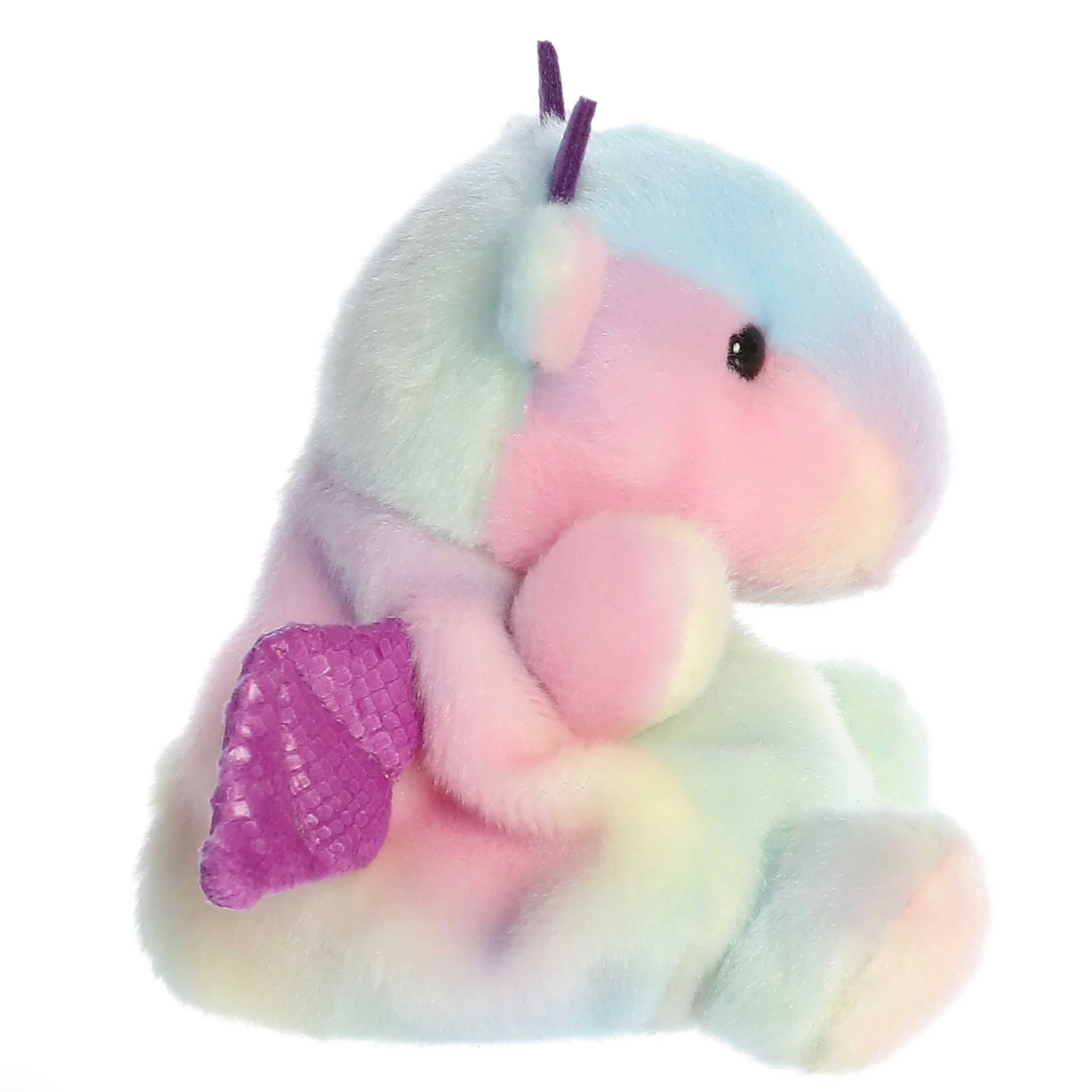 Palm Pal Aster Dragon