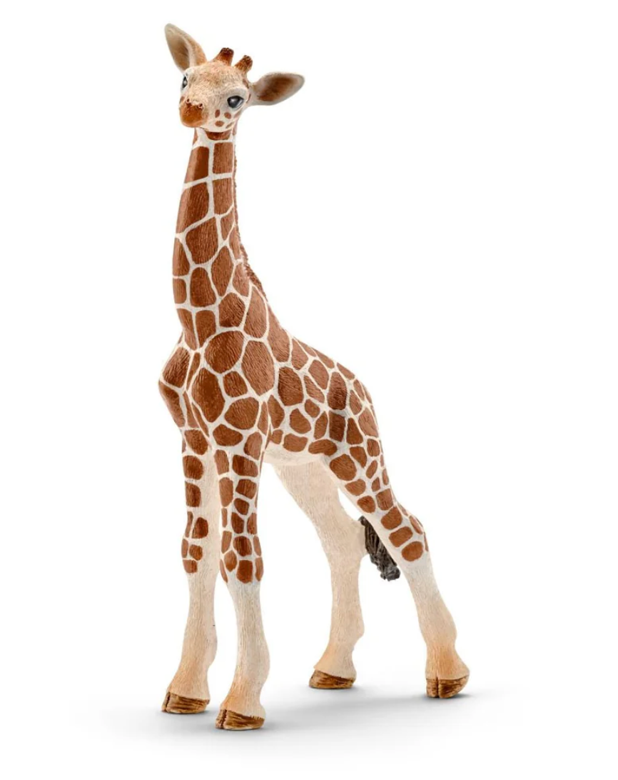 Schleich Animal - Giraffe Calf