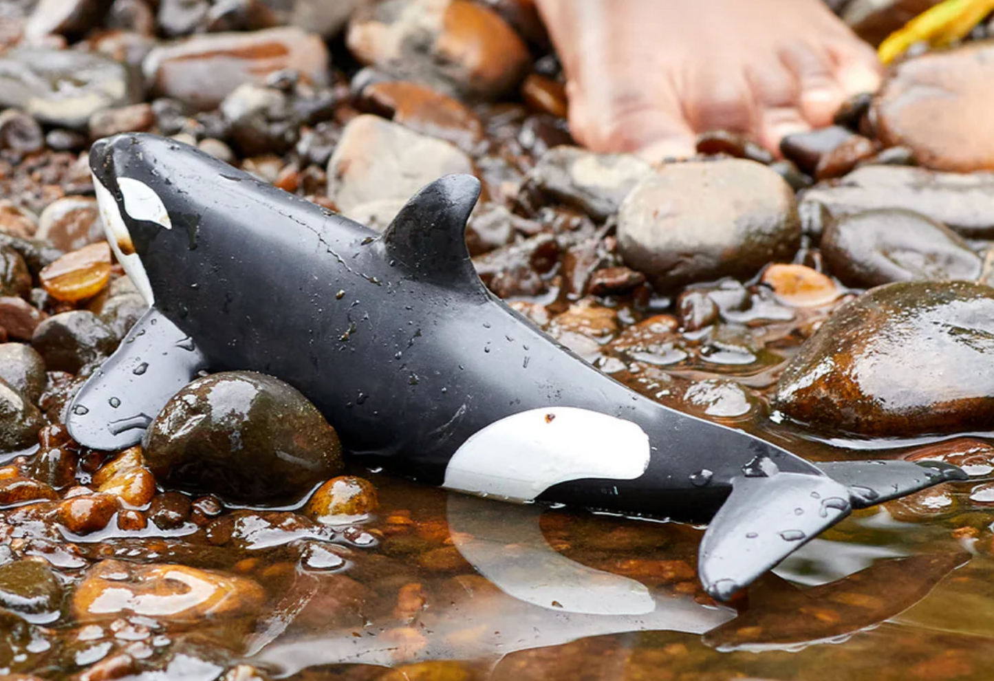Schleich Animal - Killer Whale
