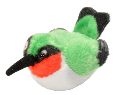 Audubon Birds
