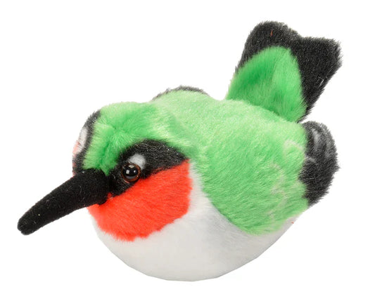 Audubon Birds