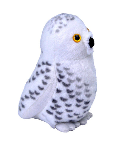 Audubon Birds
