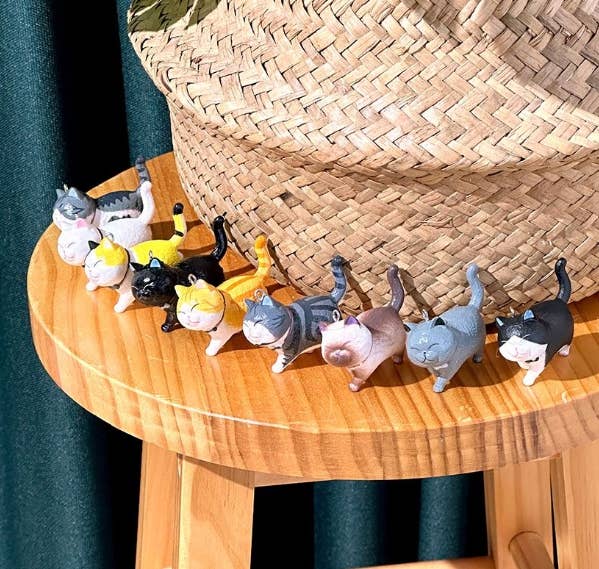 Best Friend Cat Collectible Keyring Blind Box