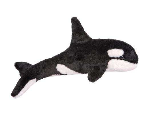 Spout Orca Whale