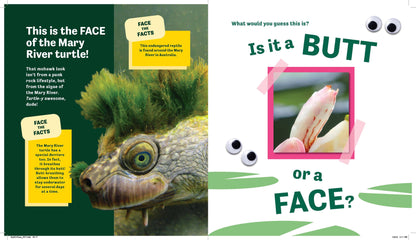 Butt or Face?