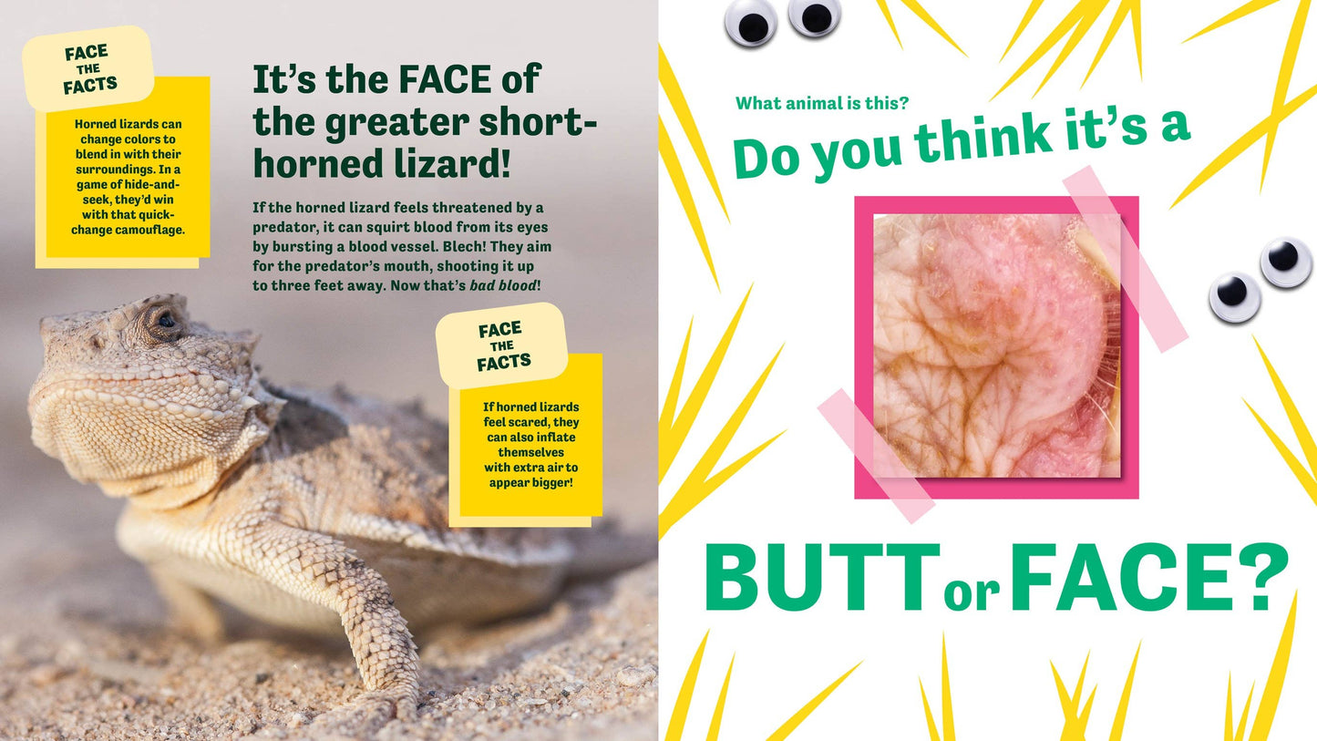 Butt or Face? Volume 3