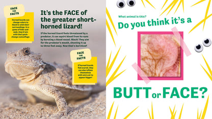 Butt or Face? Volume 3
