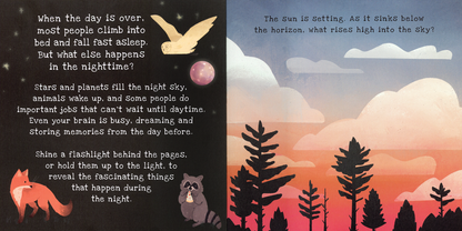 Shine-A-Light: Nighttime