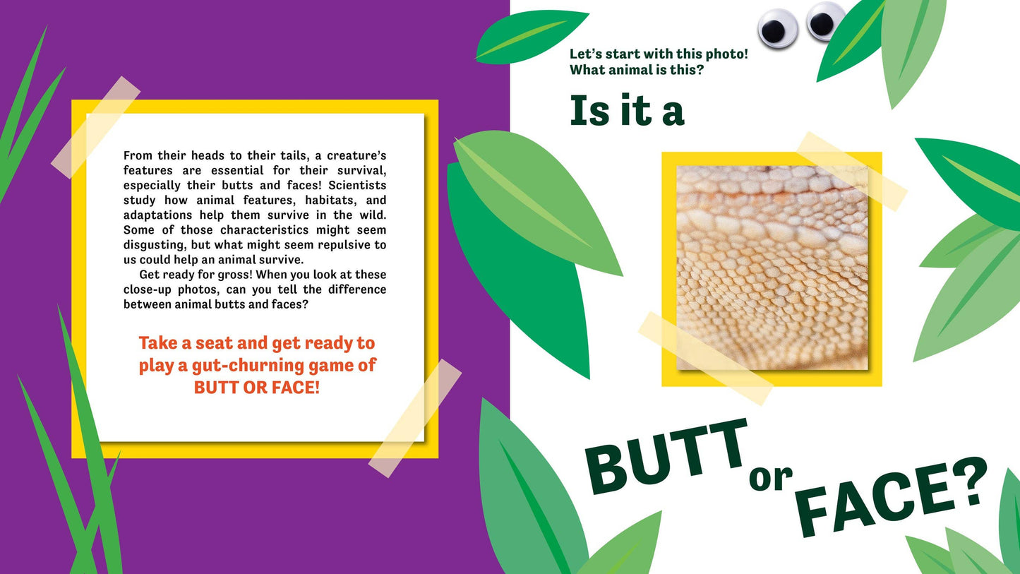 Butt or Face? Volume 3