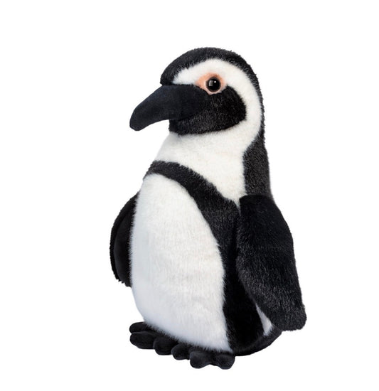 Zuri African Penguin