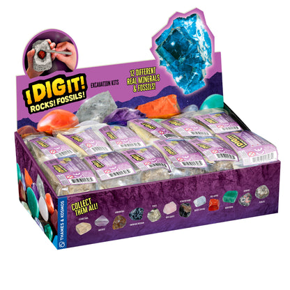 I Dig It Rocks & Fossils Excavation
