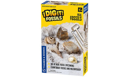 I Dig It Fossils Real Fossils Excavation Kit