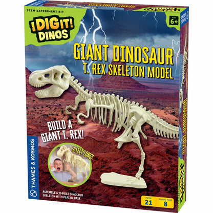 Giant Dinosaur T Rex Skeleton Model