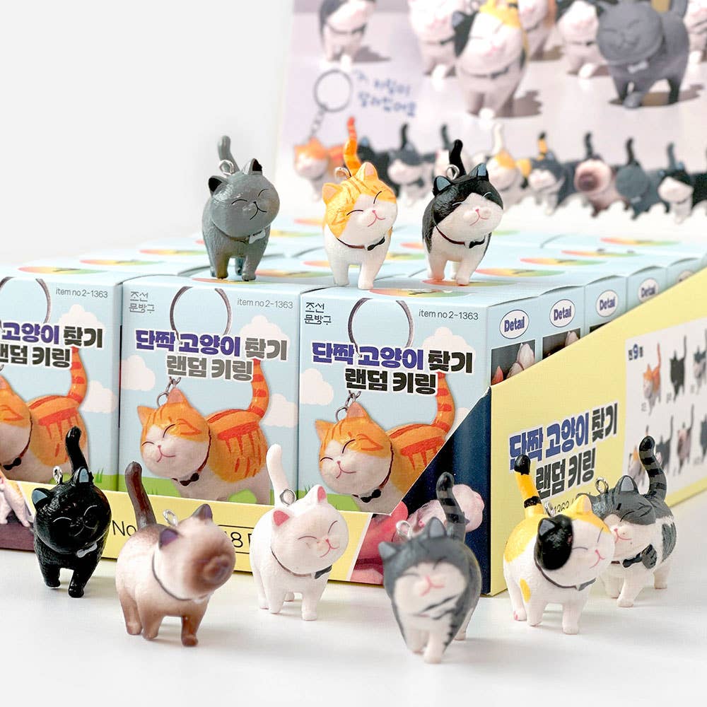 Best Friend Cat Collectible Keyring Blind Box