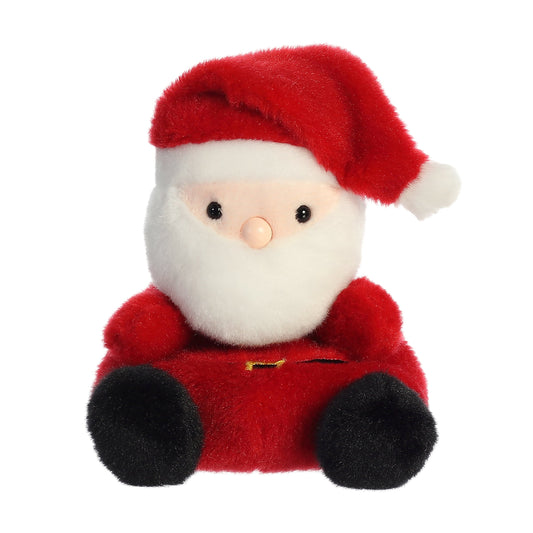 Palm Pal Santa