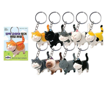 Best Friend Cat Collectible Keyring Blind Box