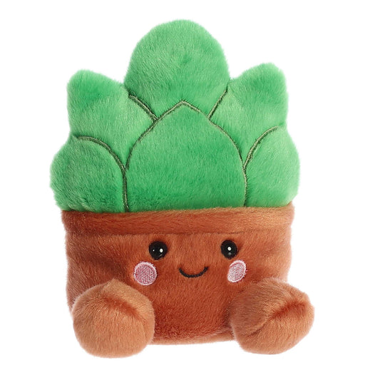 Palm Pal Gigi Succulent