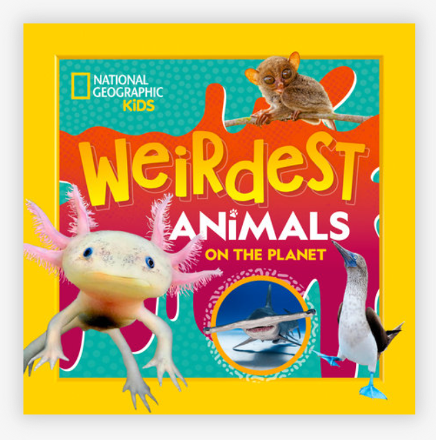 Weirdest Animals on the Planet