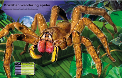 Build Your Own Deadly Animals Sticker Book