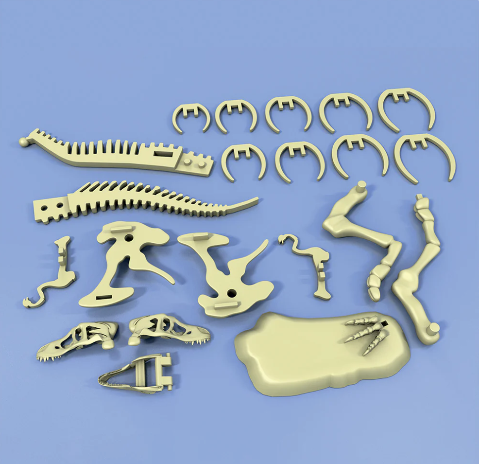 Giant Dinosaur T Rex Skeleton Model