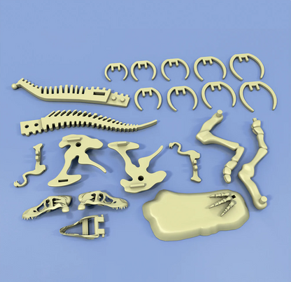 Giant Dinosaur T Rex Skeleton Model