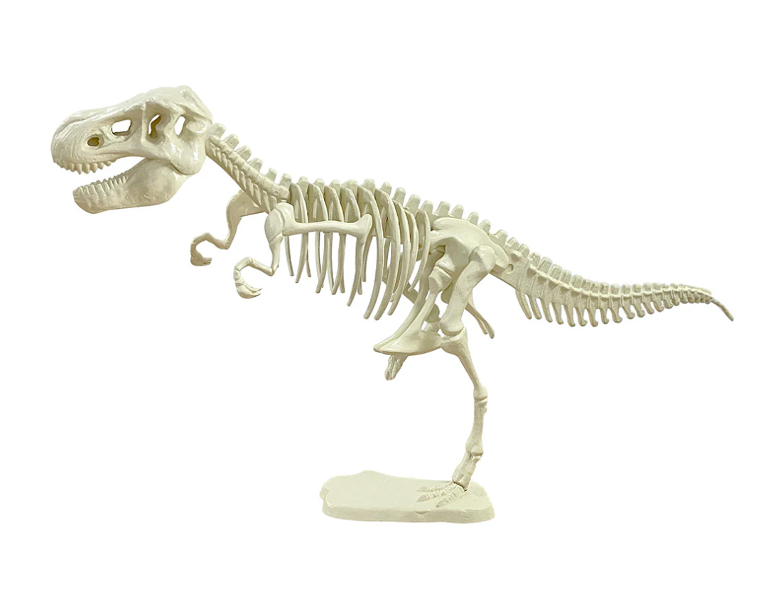 Giant Dinosaur T Rex Skeleton Model