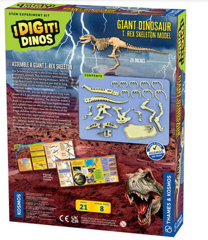 Giant Dinosaur T Rex Skeleton Model