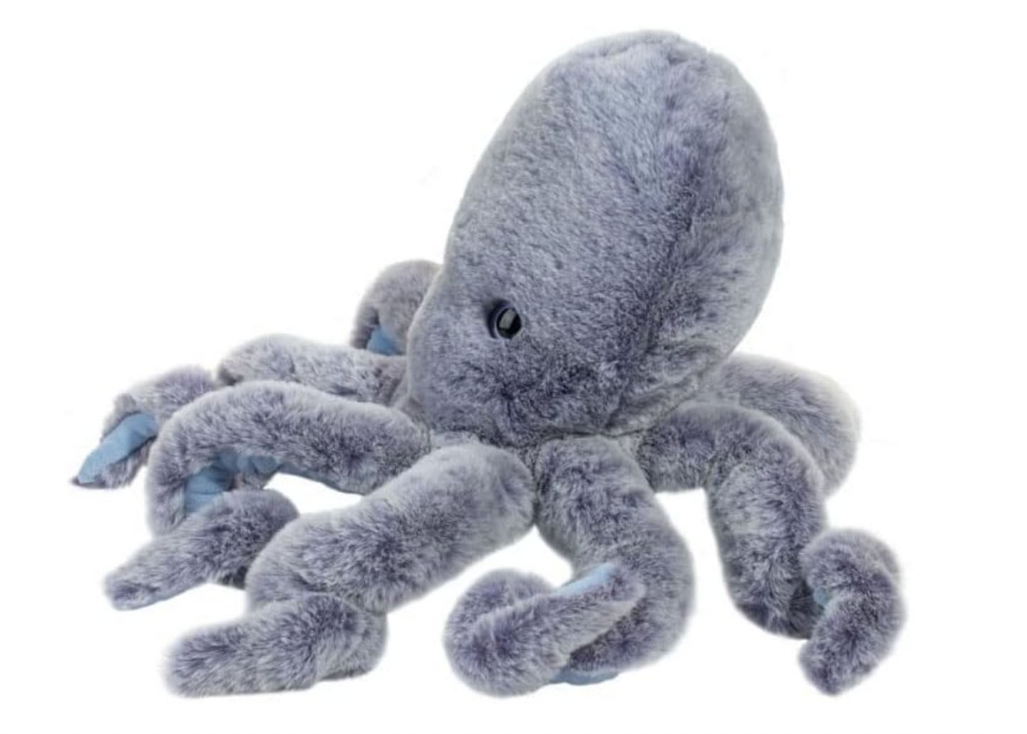 Jamie Octopus