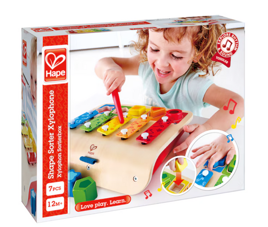 Shape Sorter Xylophone