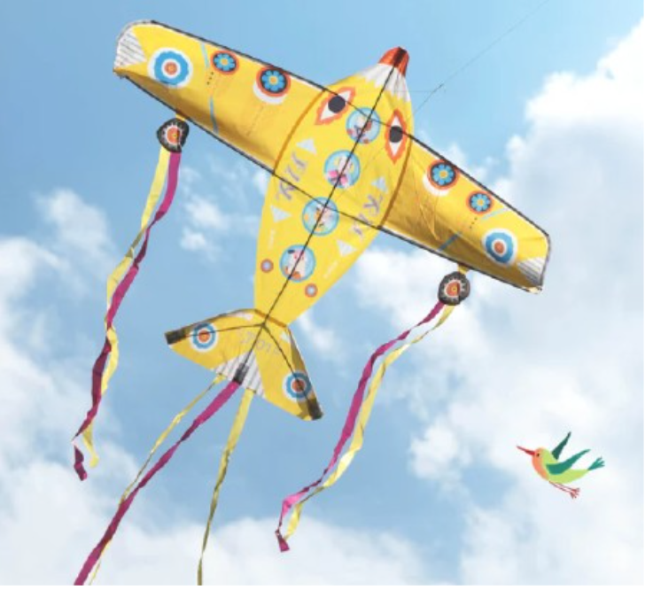 Maxi Plane Kite