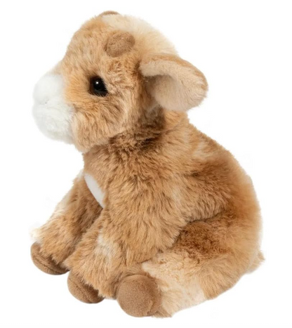 Mini Dandie Soft Goat