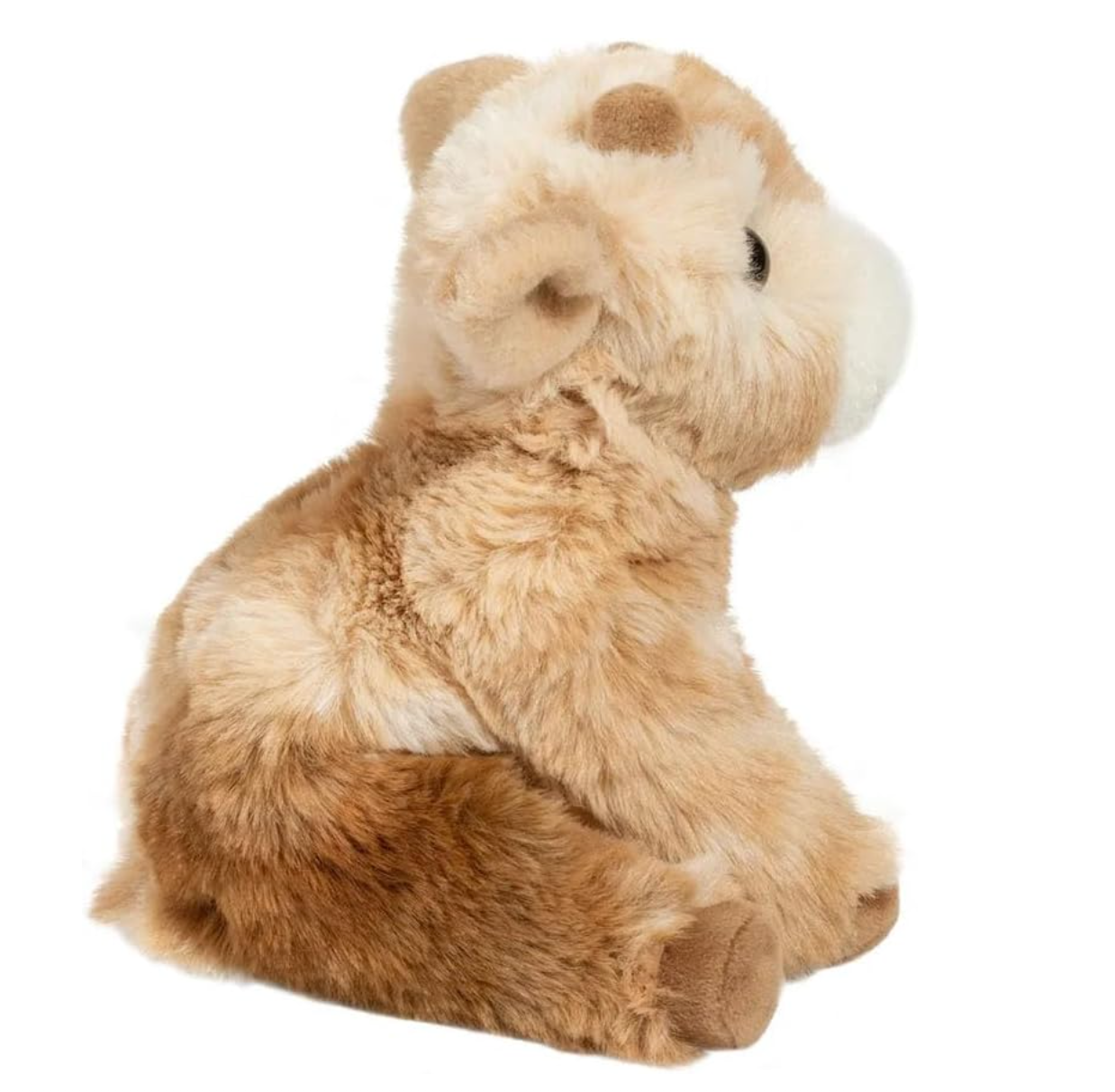 Mini Dandie Soft Goat