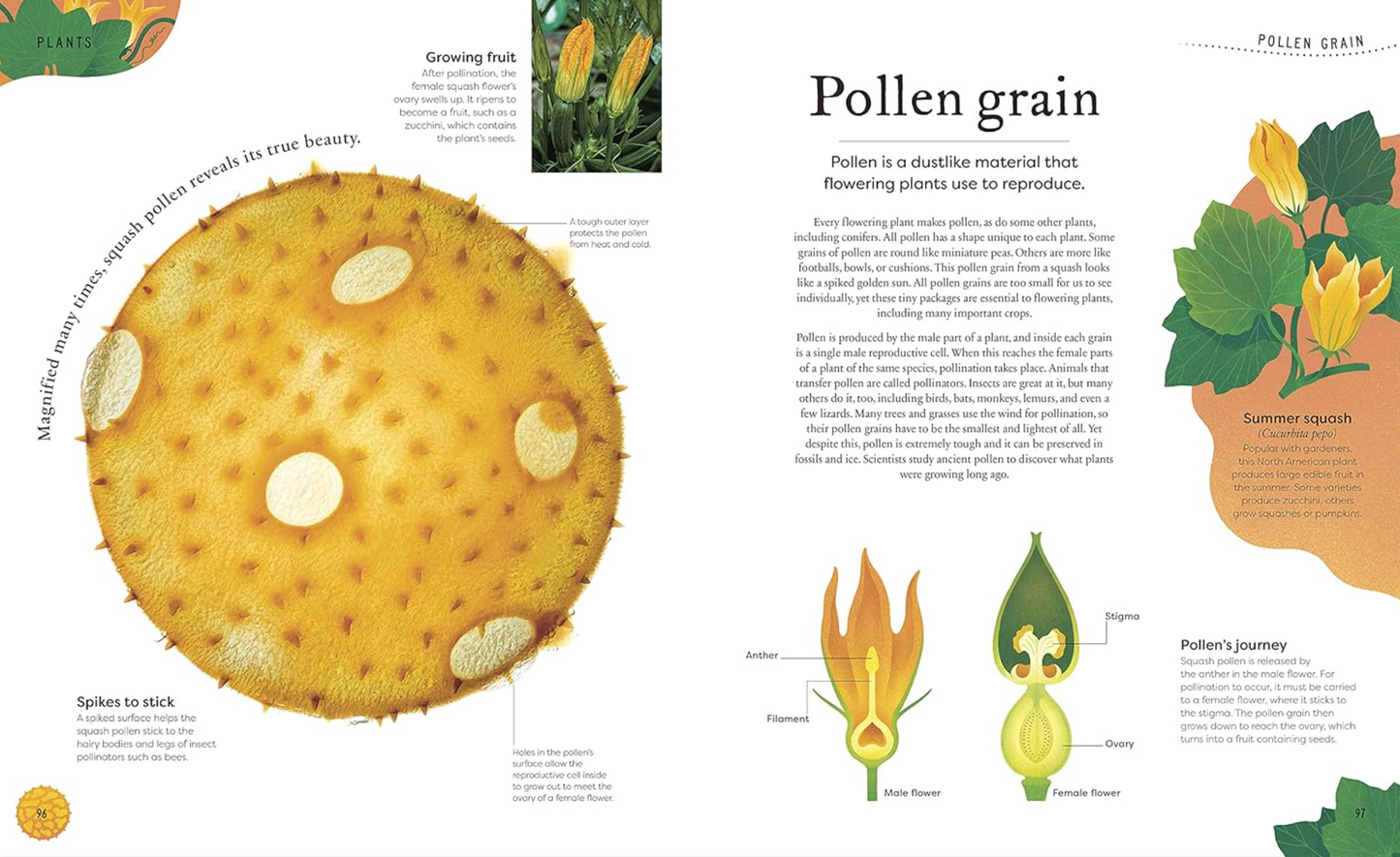 Nature's Treasures Tales Of More Than 100 Extraordinary Objects From Nature